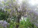 DSCN5926