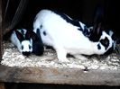 IMG_20140430_112630
