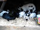 IMG_20140430_112636