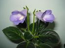 DSC08068