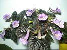 DSC08070