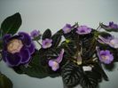 DSC08071