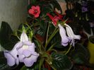 DSC08081