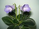DSC08069