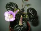 DSC08074