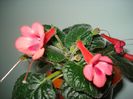 DSC08078