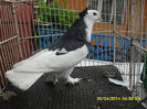 SAM_0797