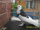 SAM_0798