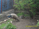 SAM_0789