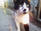 Andwta 041