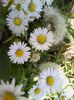 Andwta 068