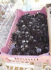 P1060747