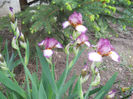 DSCN1484_007