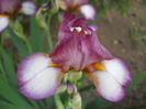 DSCN1487_010