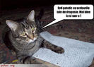 [www.fisierulmeu.ro] poze-amuzante-poza-amuzanta-pisica-il-indeamna-pe-stapan-sa-o-sune-pe-fosta-pri