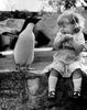 [www.fisierulmeu.ro] poze-haioase-pinguini-fetite