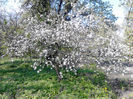 IMG_20140501_095934