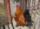 20140501_120308