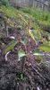 WP_20140501_044