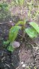 WP_20140501_045