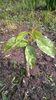 WP_20140501_046