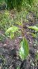 WP_20140501_047