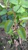 WP_20140501_051
