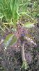 WP_20140501_052