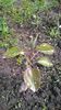 WP_20140501_053