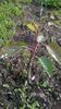 WP_20140501_054
