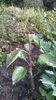 WP_20140501_056