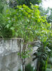 DSC05283