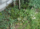 DSC05284