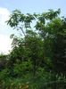 DSC05293