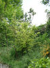 DSC05295