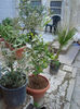 DSC05321