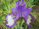 DSCN1505_011