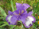 DSCN1507_013