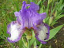 DSCN1551_057
