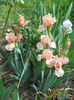 DSCN1518_024