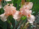 DSCN1519_025