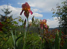 DSCN1521_027
