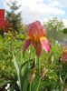 DSCN1523_029