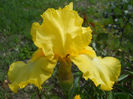 DSCN1515_021