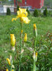 DSCN1516_022
