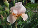 DSCN1514_020