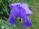 DSCN1533_039