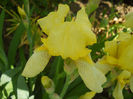 DSCN1543_049