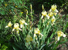 DSCN1539_045