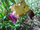 DSCN1541_047